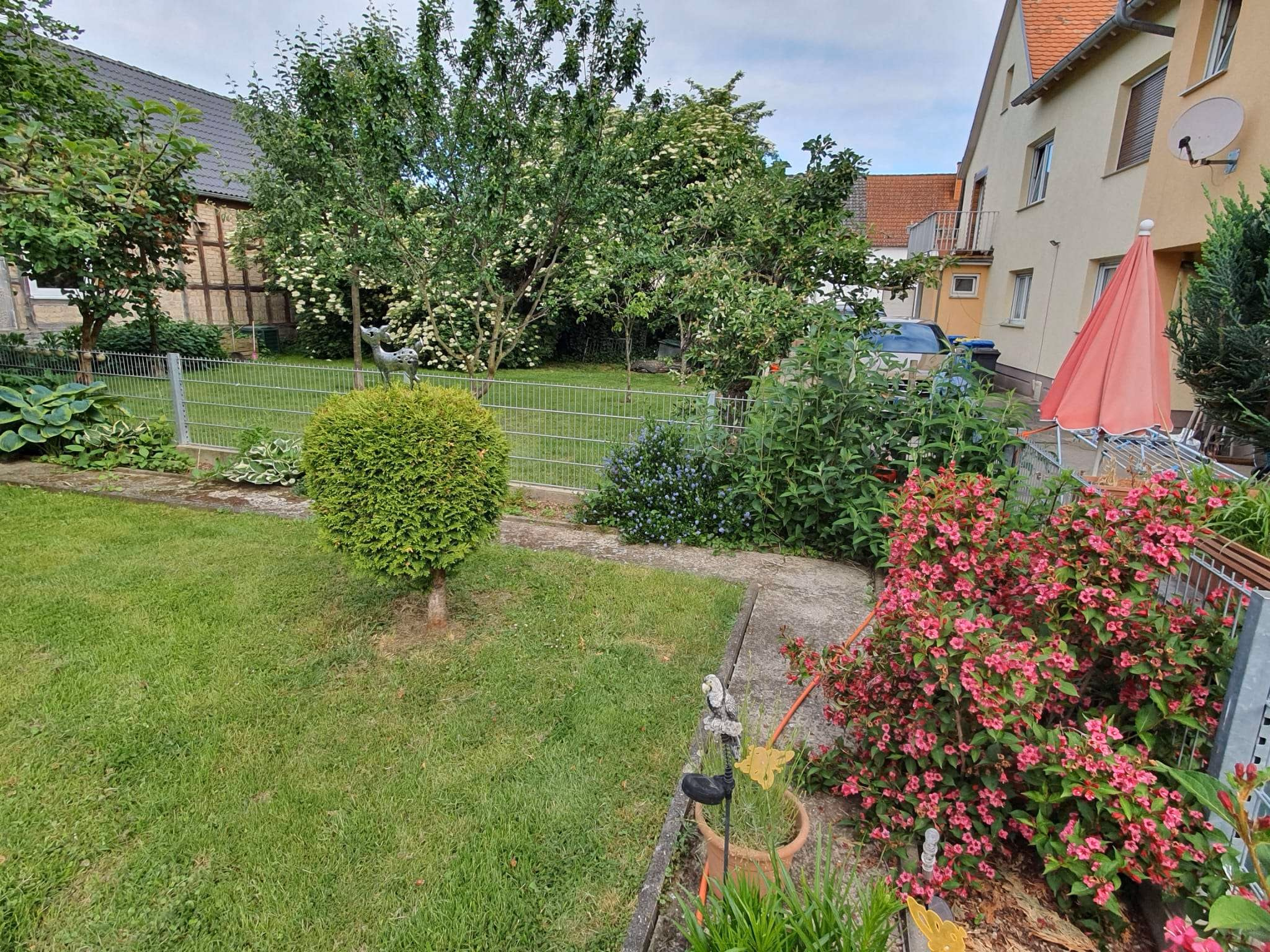 Garten_4
