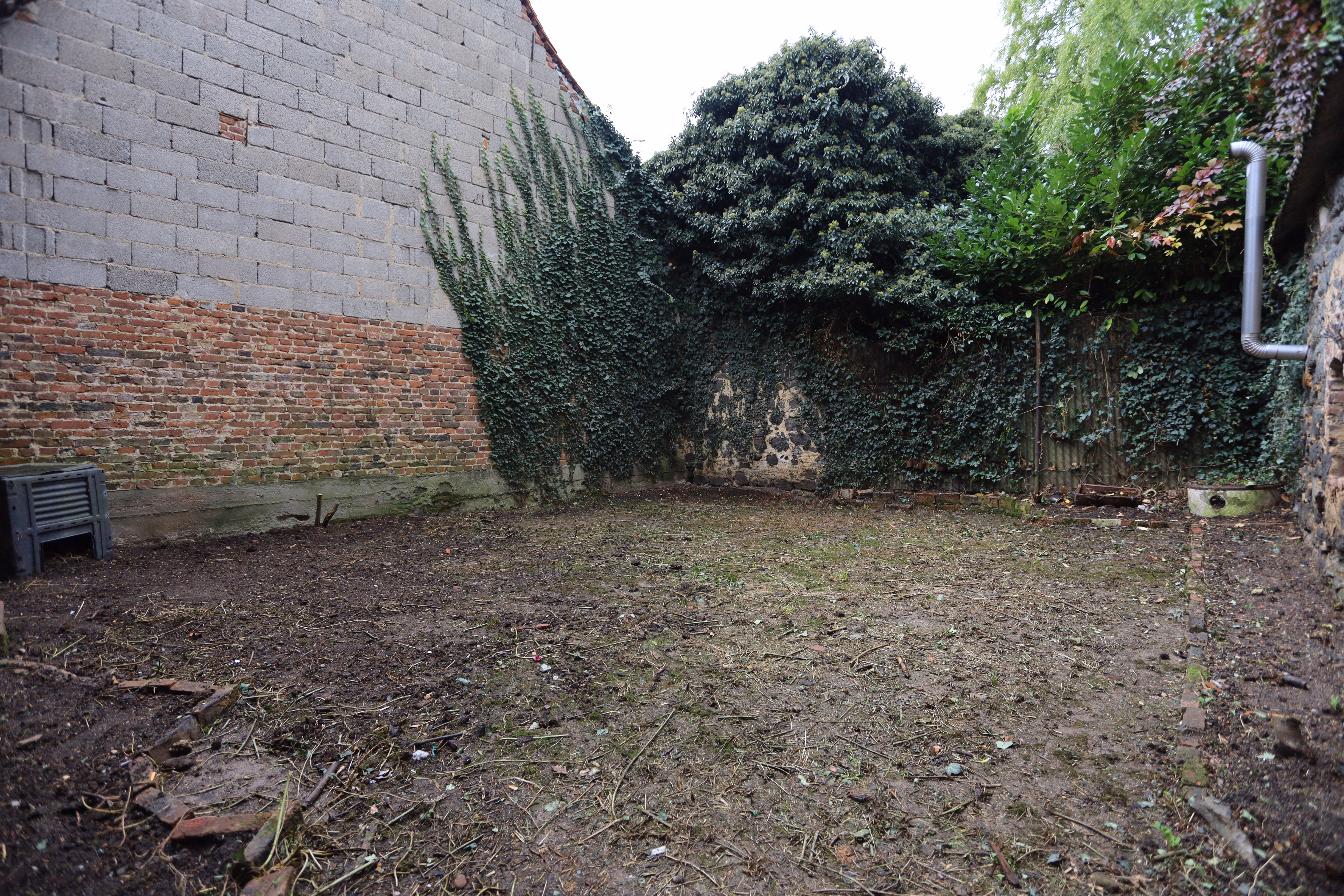 Gartenfläche