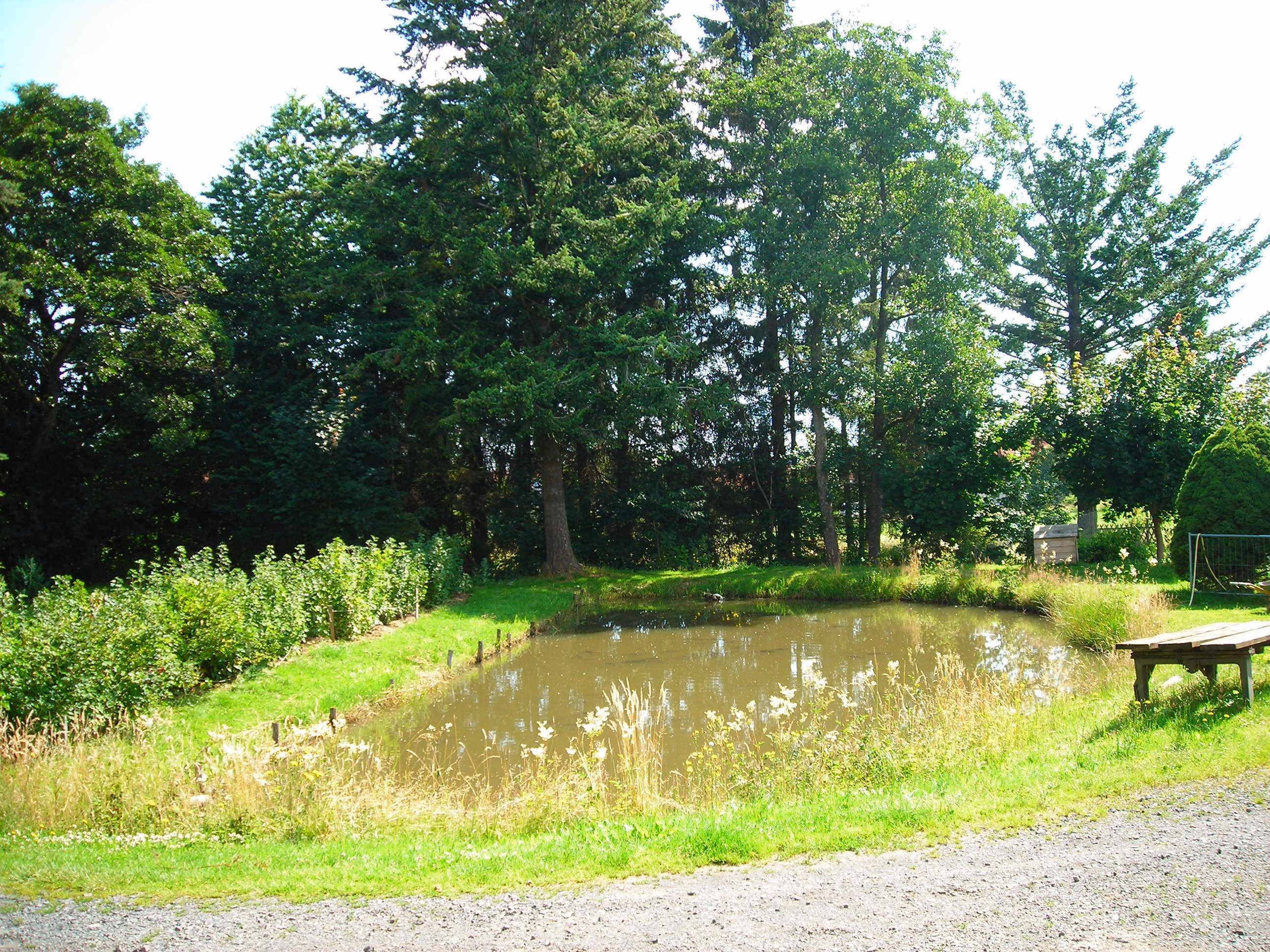 Karpfenteich