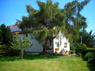 *Ein Traum für Natur- und Angelfreunde* – Großes ZFH mit parkähnlicher Teich- und Fischzuchtanlage, 36369 Lautertal, Sonstige Landwirtschaftsimmobilie