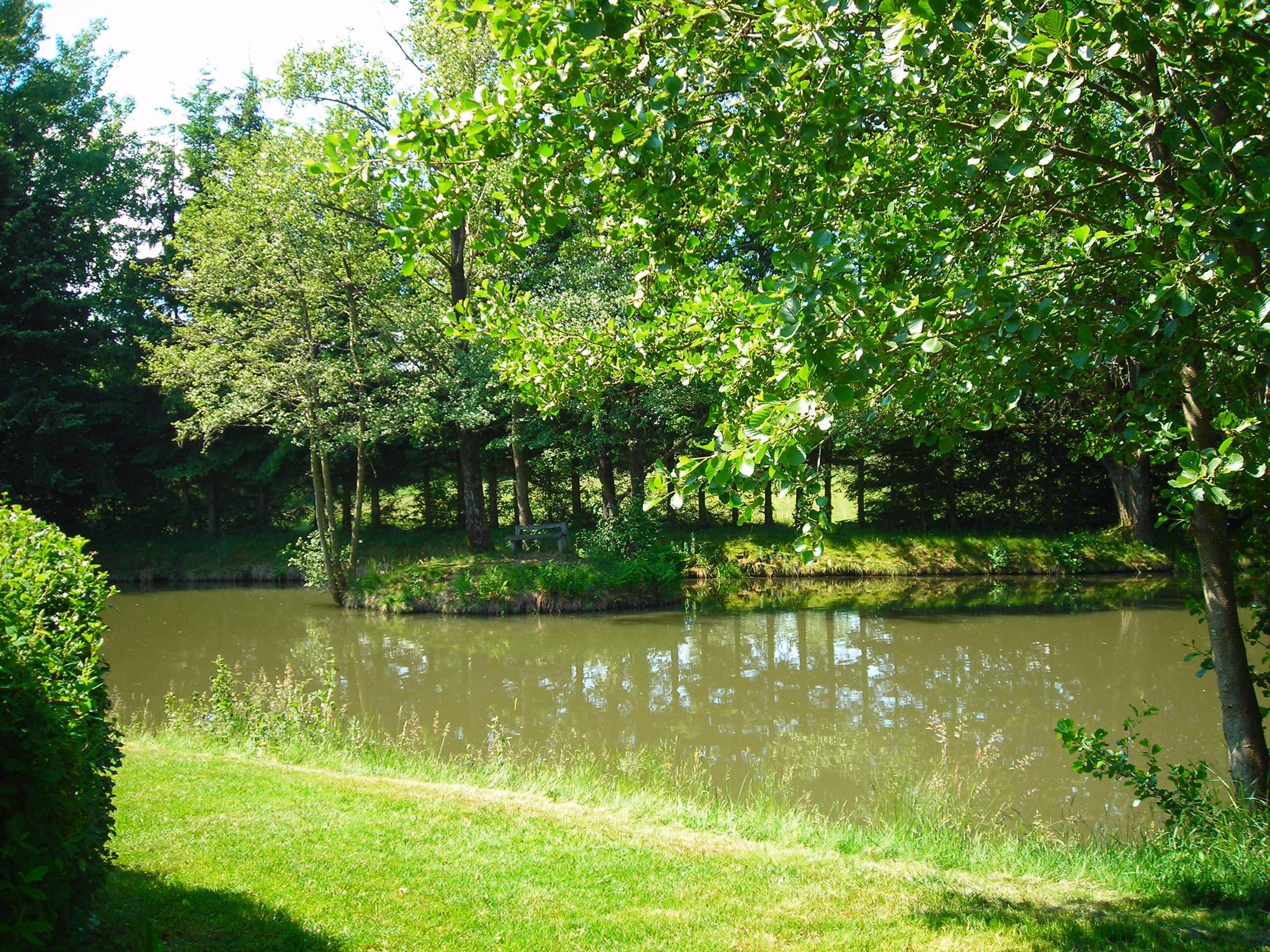 Raubfischteich_1