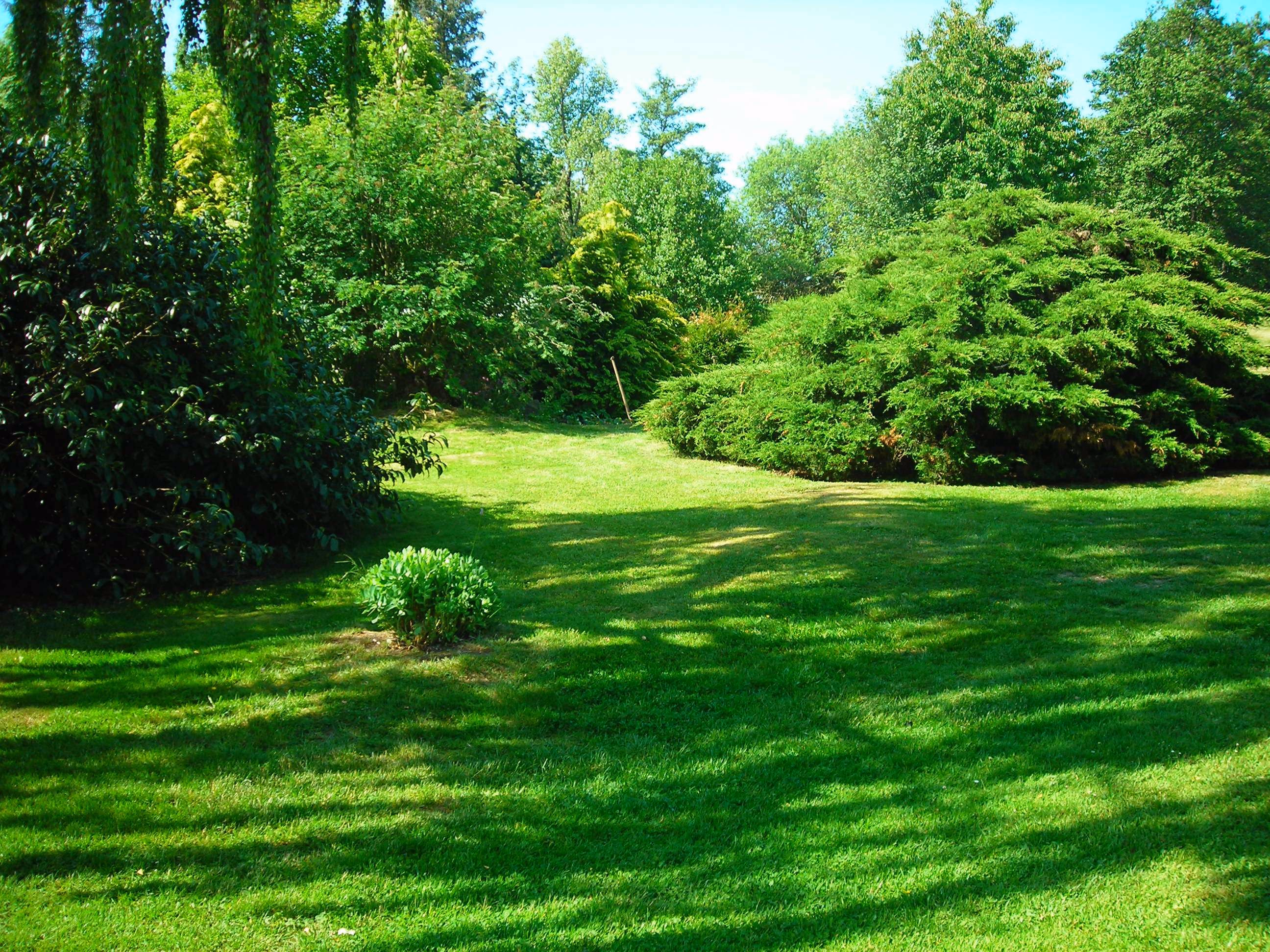Garten_2