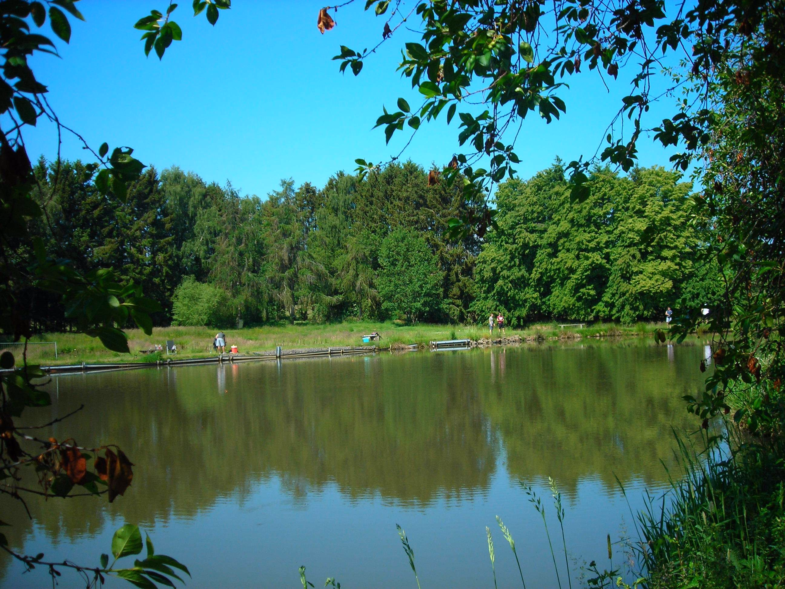 Friedfischteich