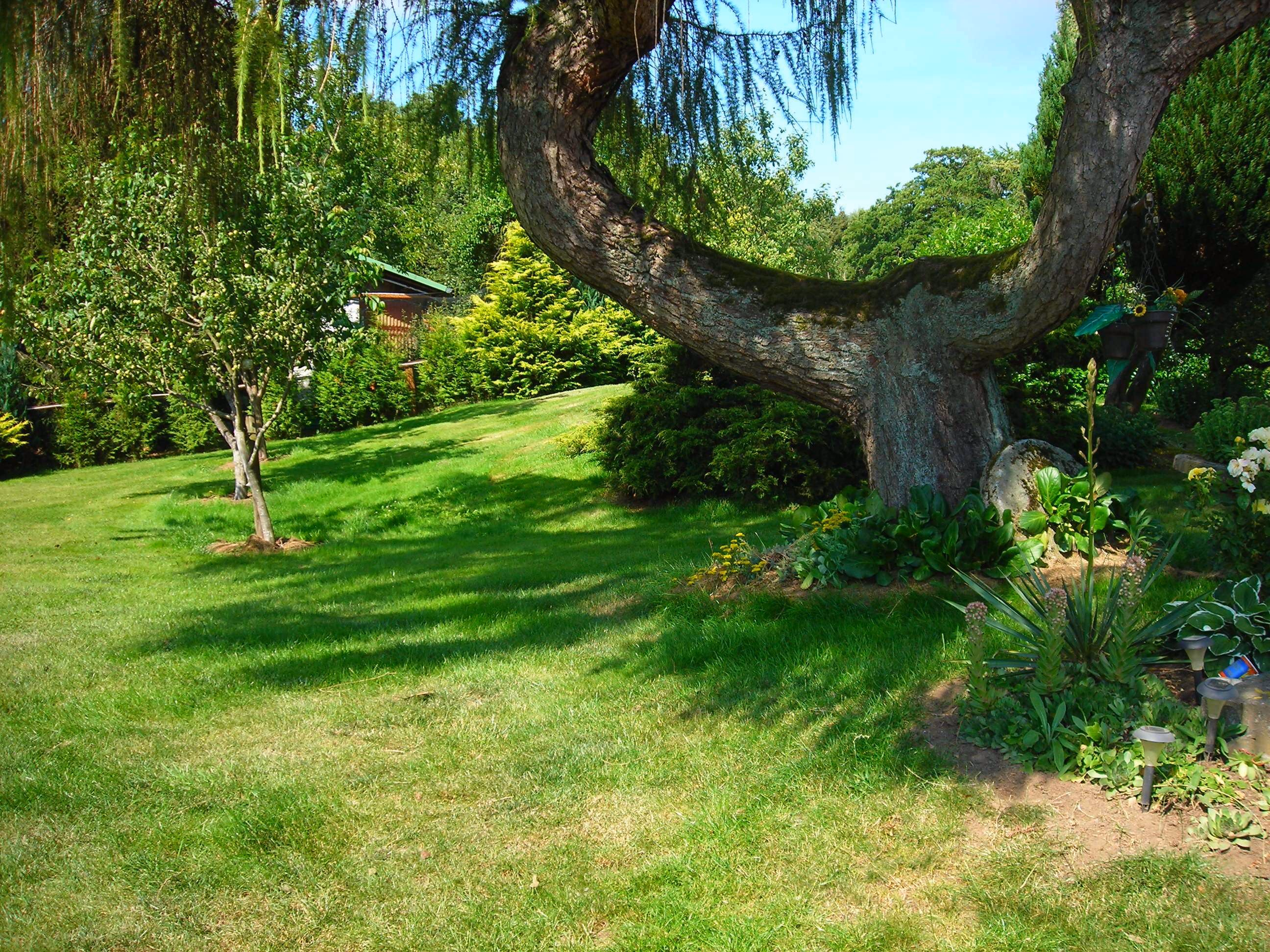 Garten_5