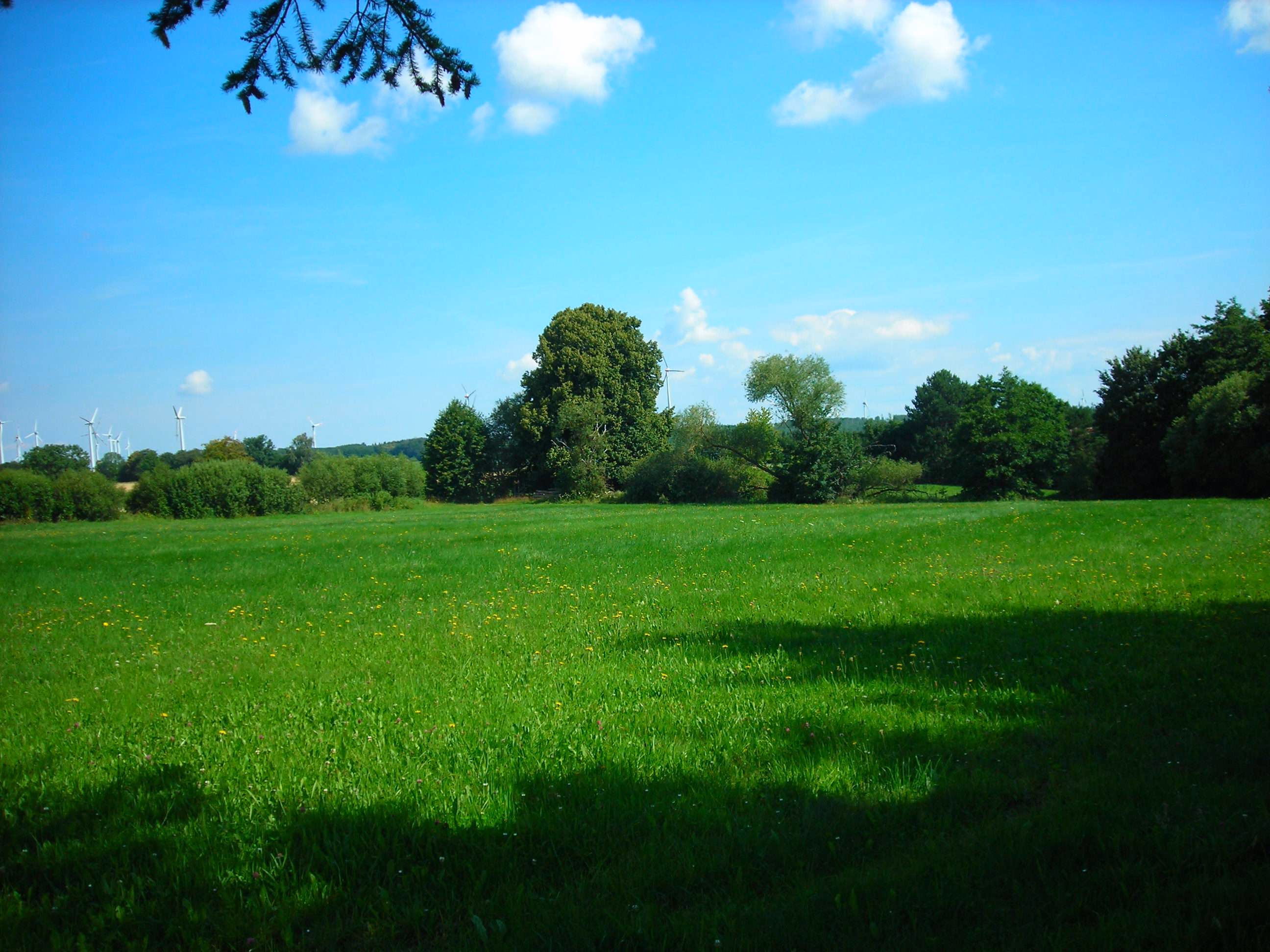 Große Weidefläche