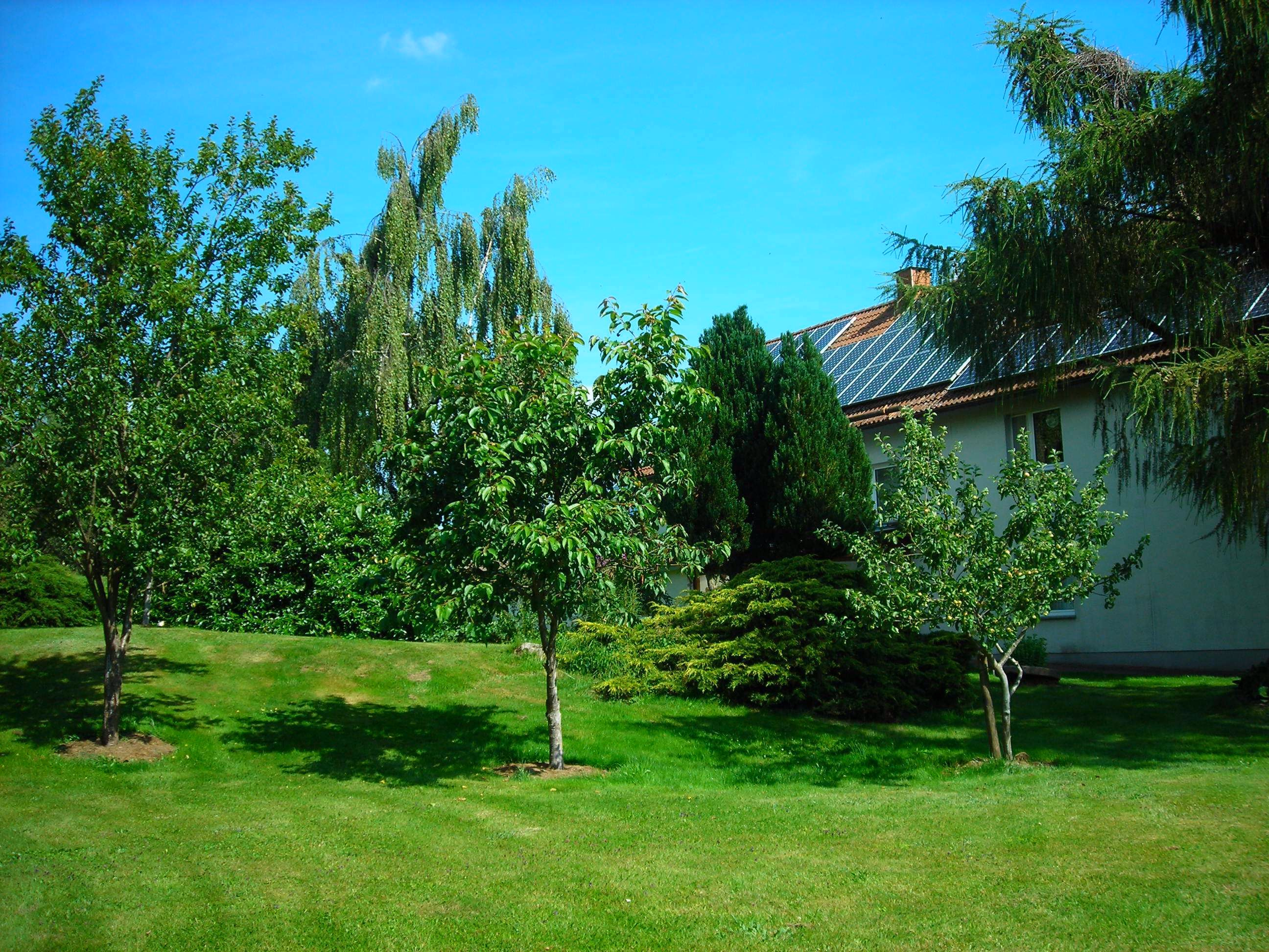 Garten_6