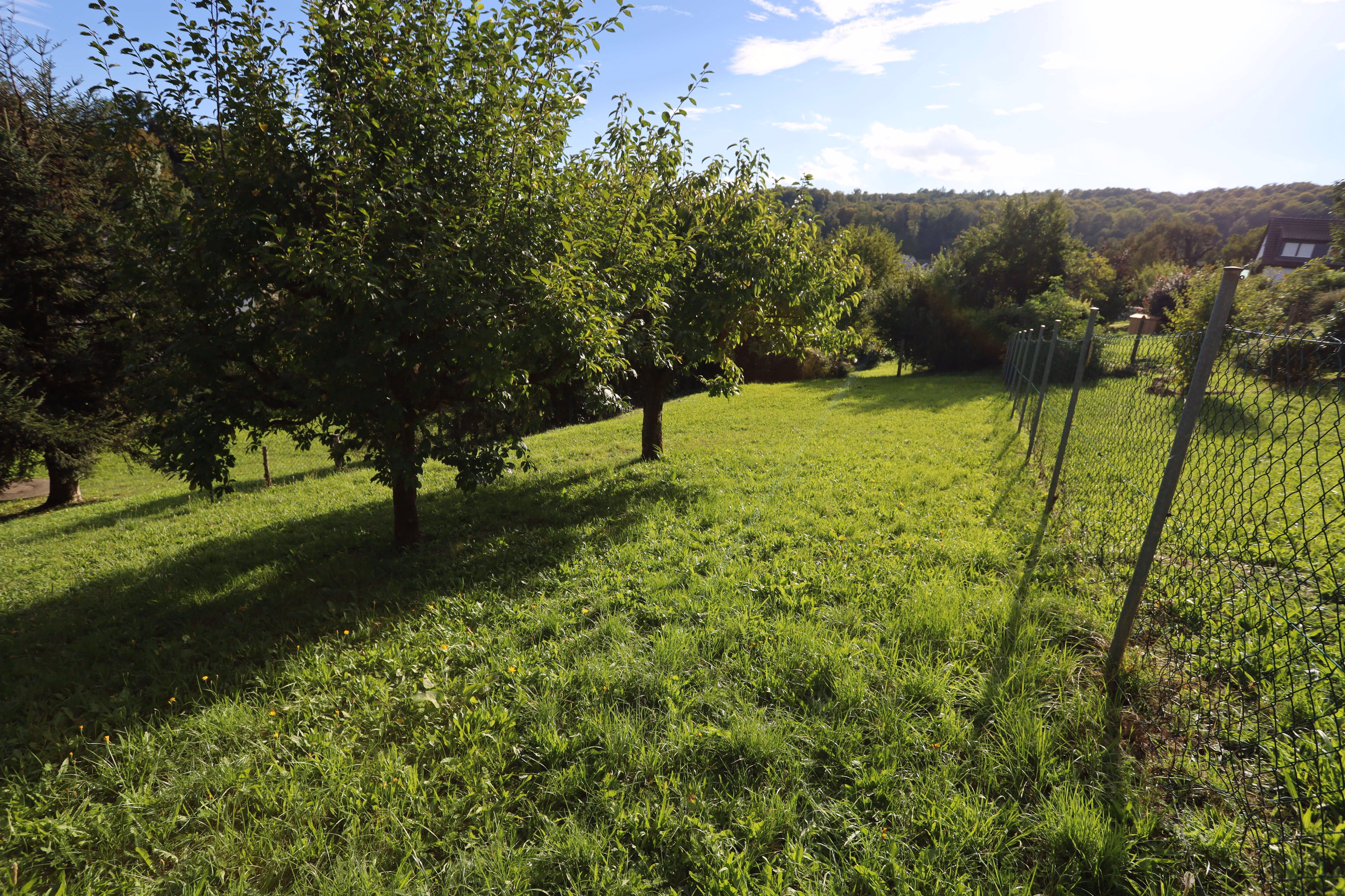 Ansicht_4