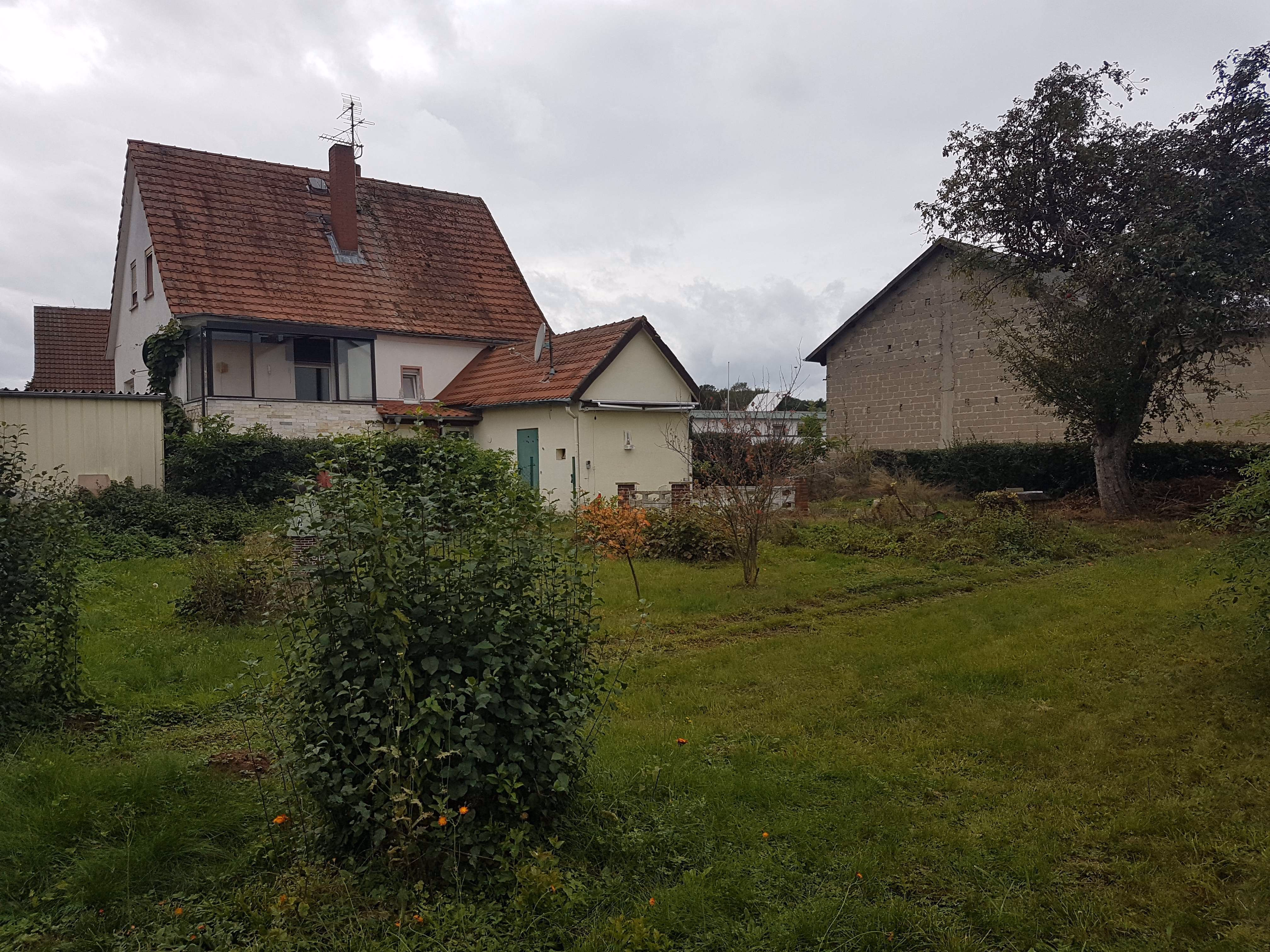 Garten_3