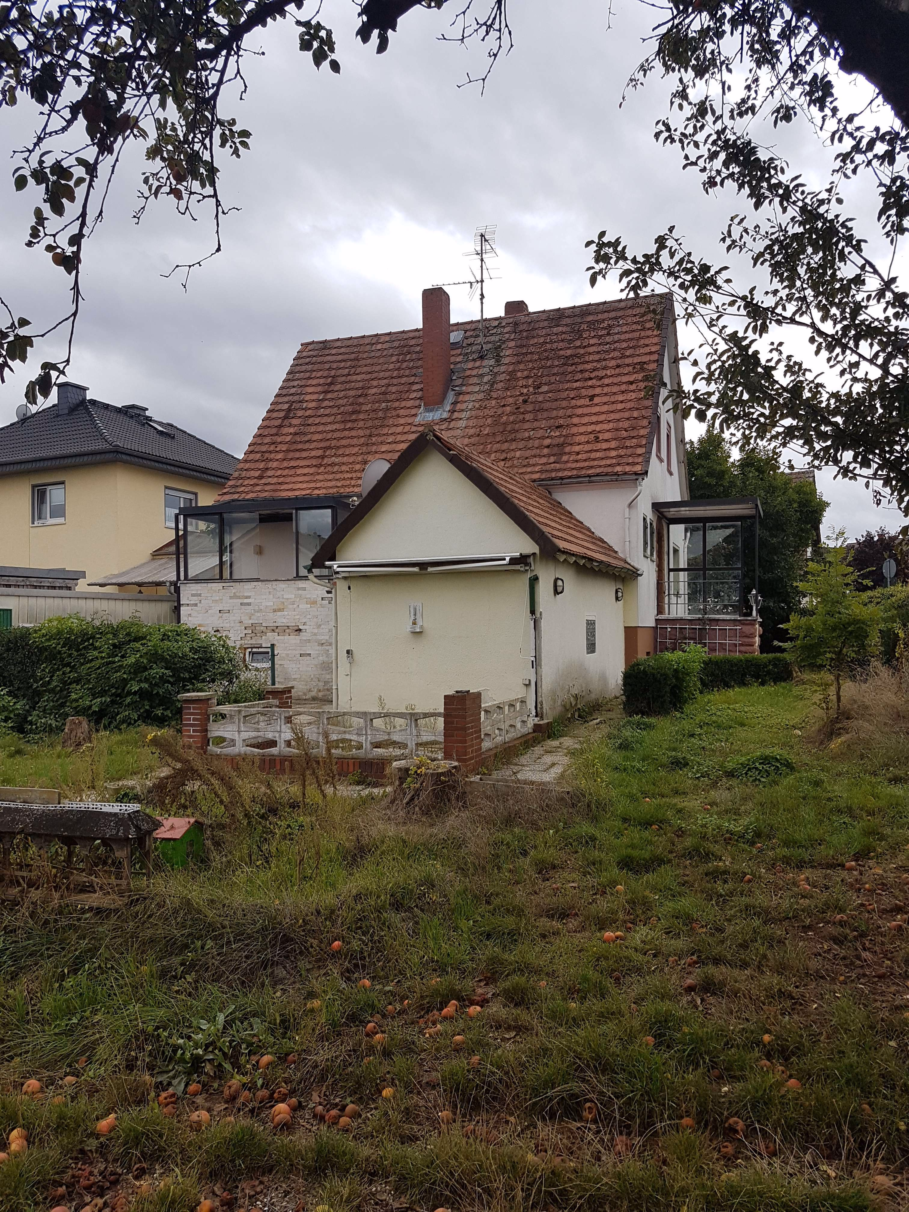 Garten_2
