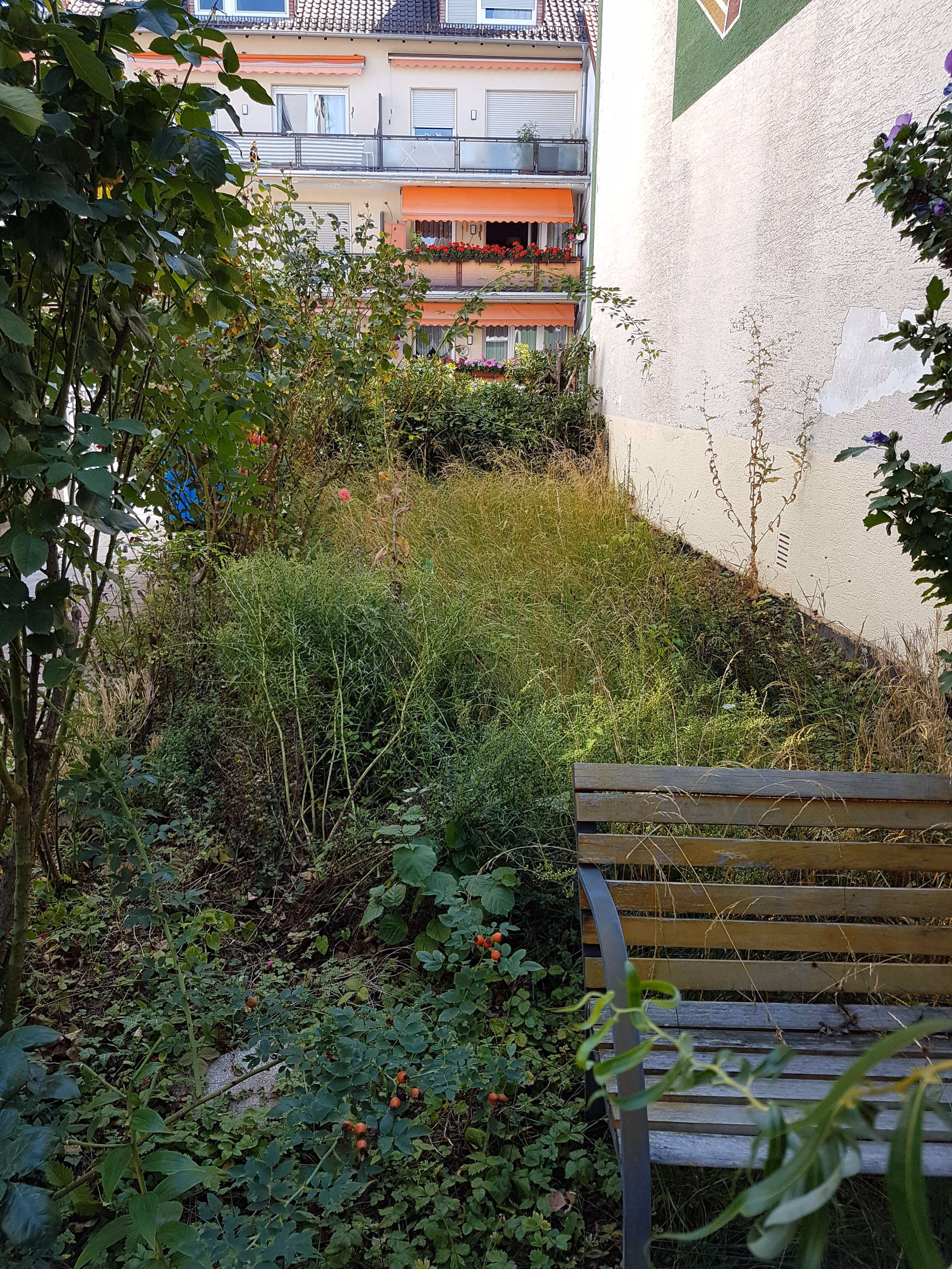 Gartenbereich