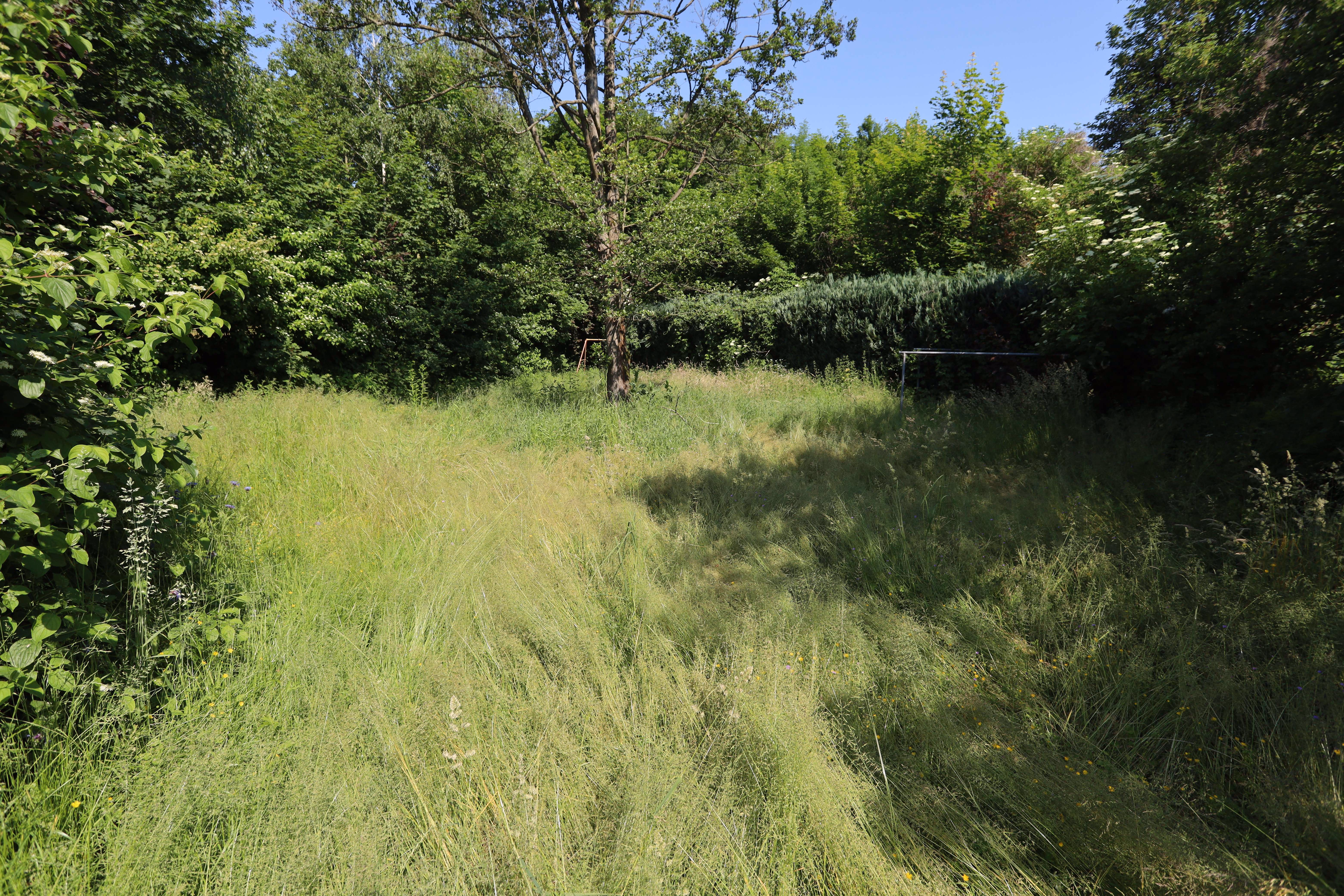 Garten_1