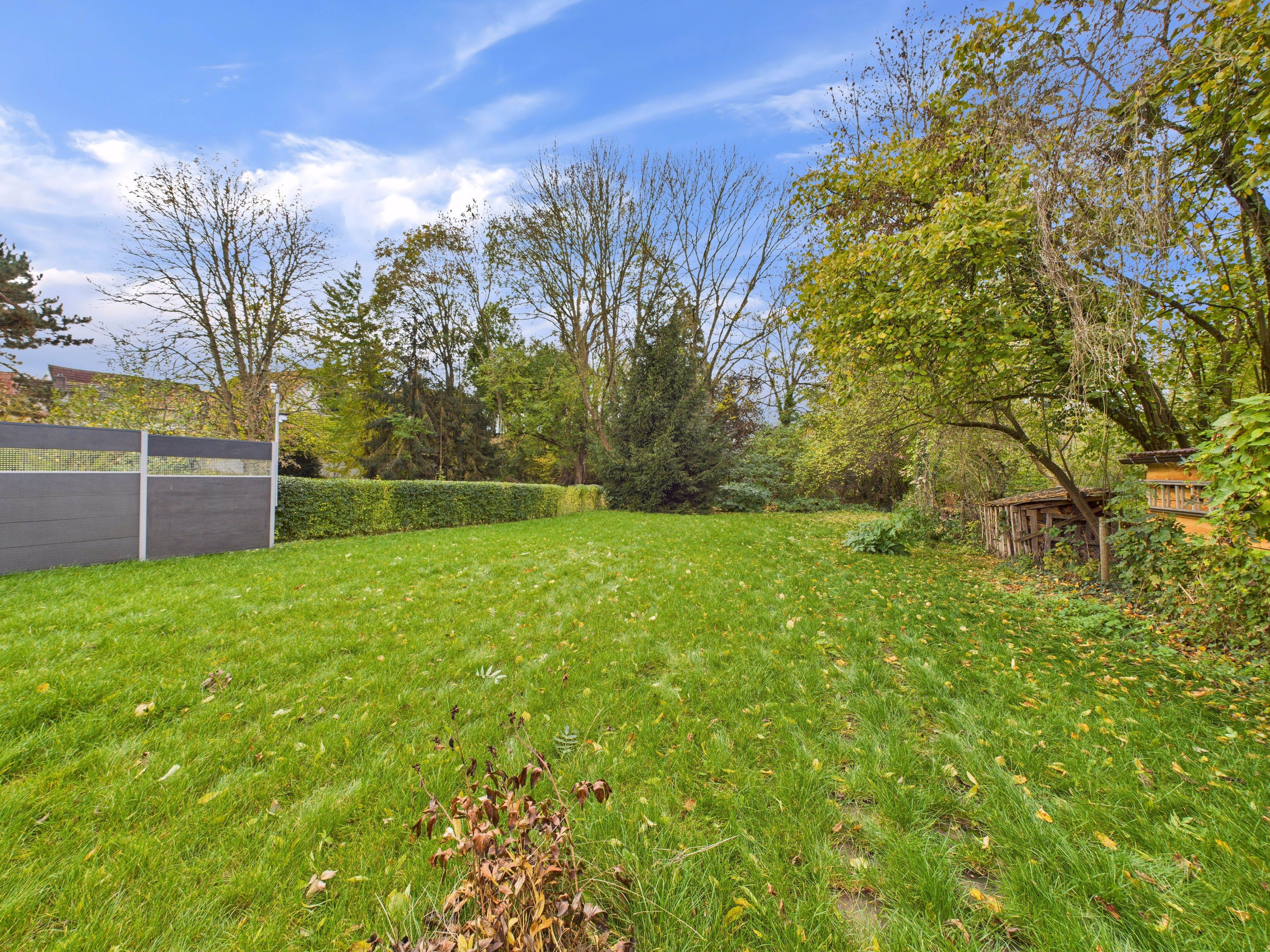 Gartenansicht_1
