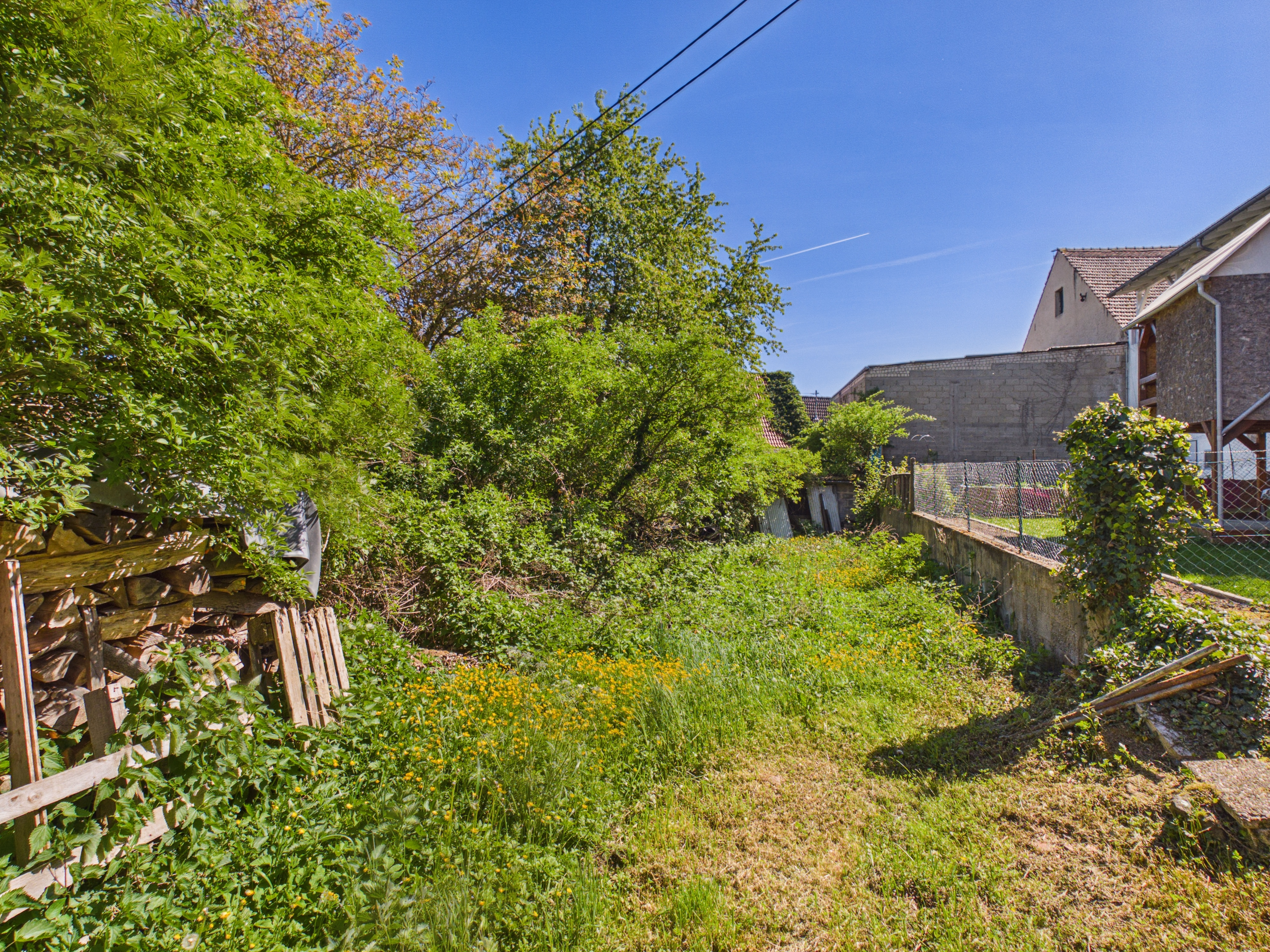 Garten_1