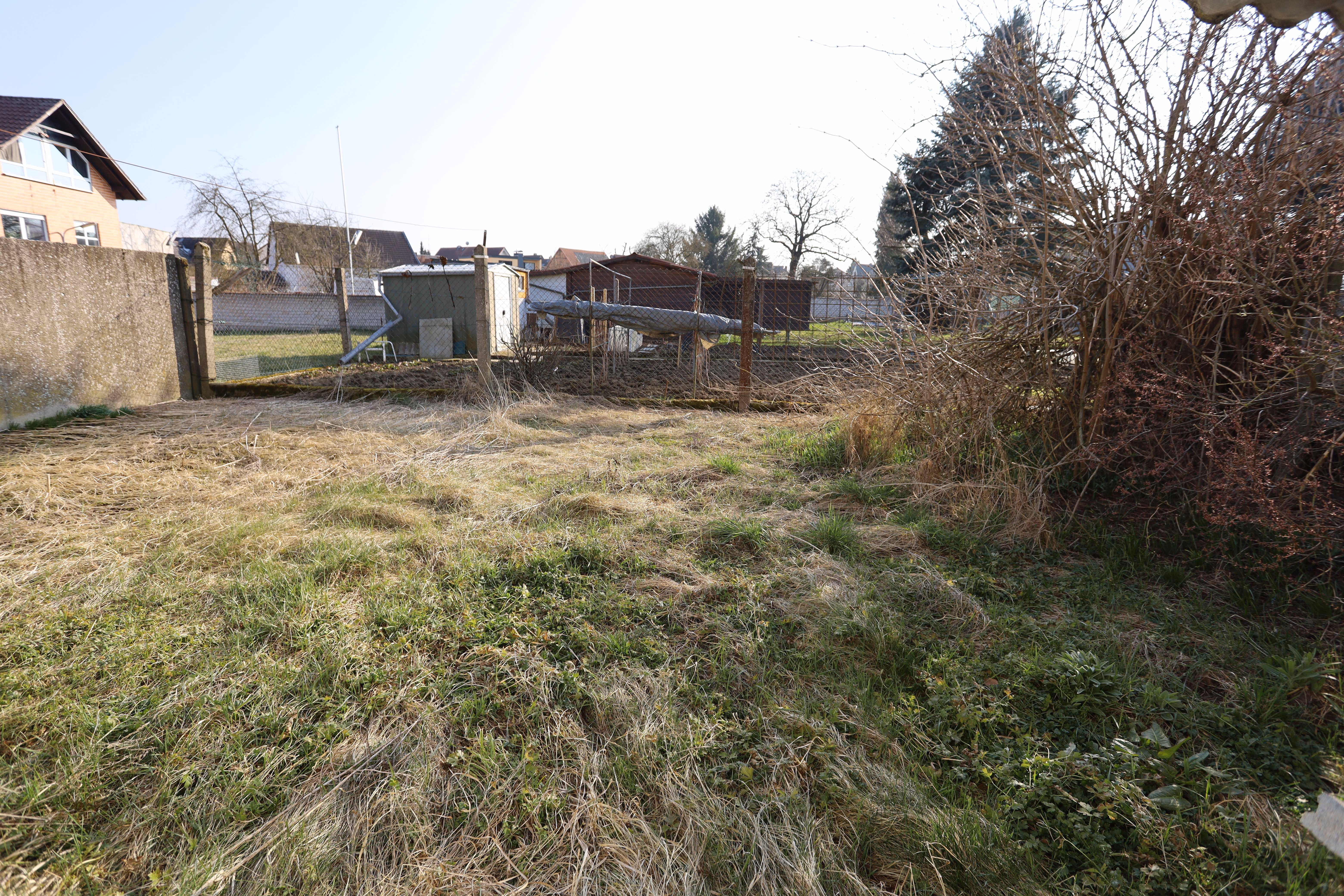 Garten_1